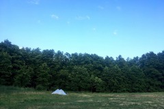 Wasserwandern-WalkYourDog-8