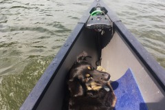 Wasserwandern-WalkYourDog-9