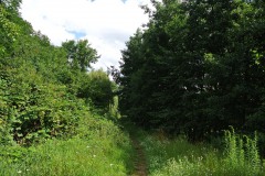 Wuhlgarten-WalkYourDog-2