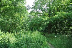 Wuhlgarten-WalkYourDog-3
