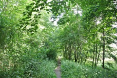 Wuhlgarten-WalkYourDog-4