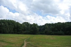 Wuhlgarten-WalkYourDog-7