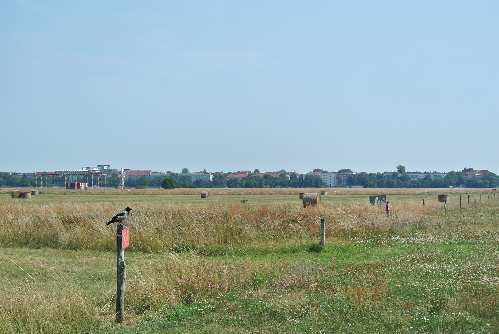 Tempelhofer Feld - Walk Your Dog