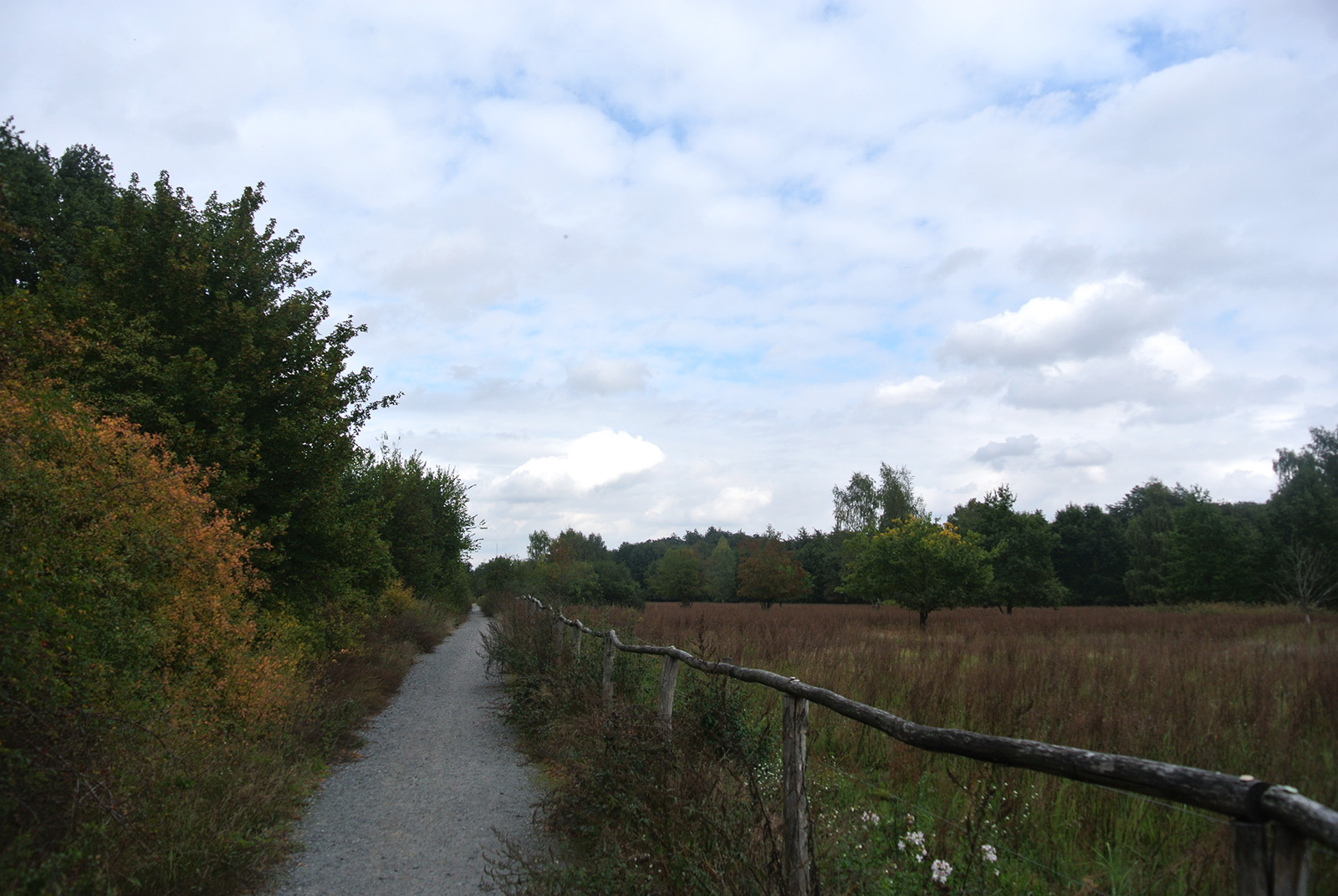 Karower Teiche Walk Your Dog