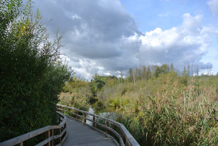 Eichwerder Moorwiesen Walk Your Dog