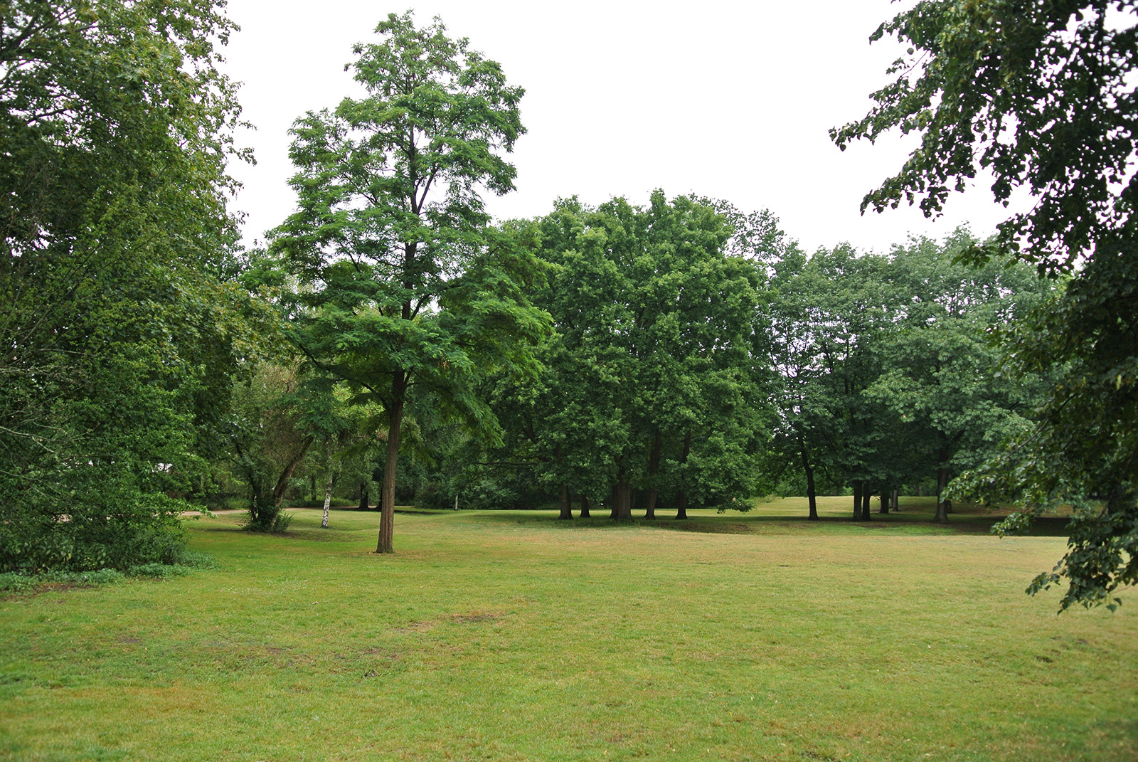 Schillerpark Walk Your Dog