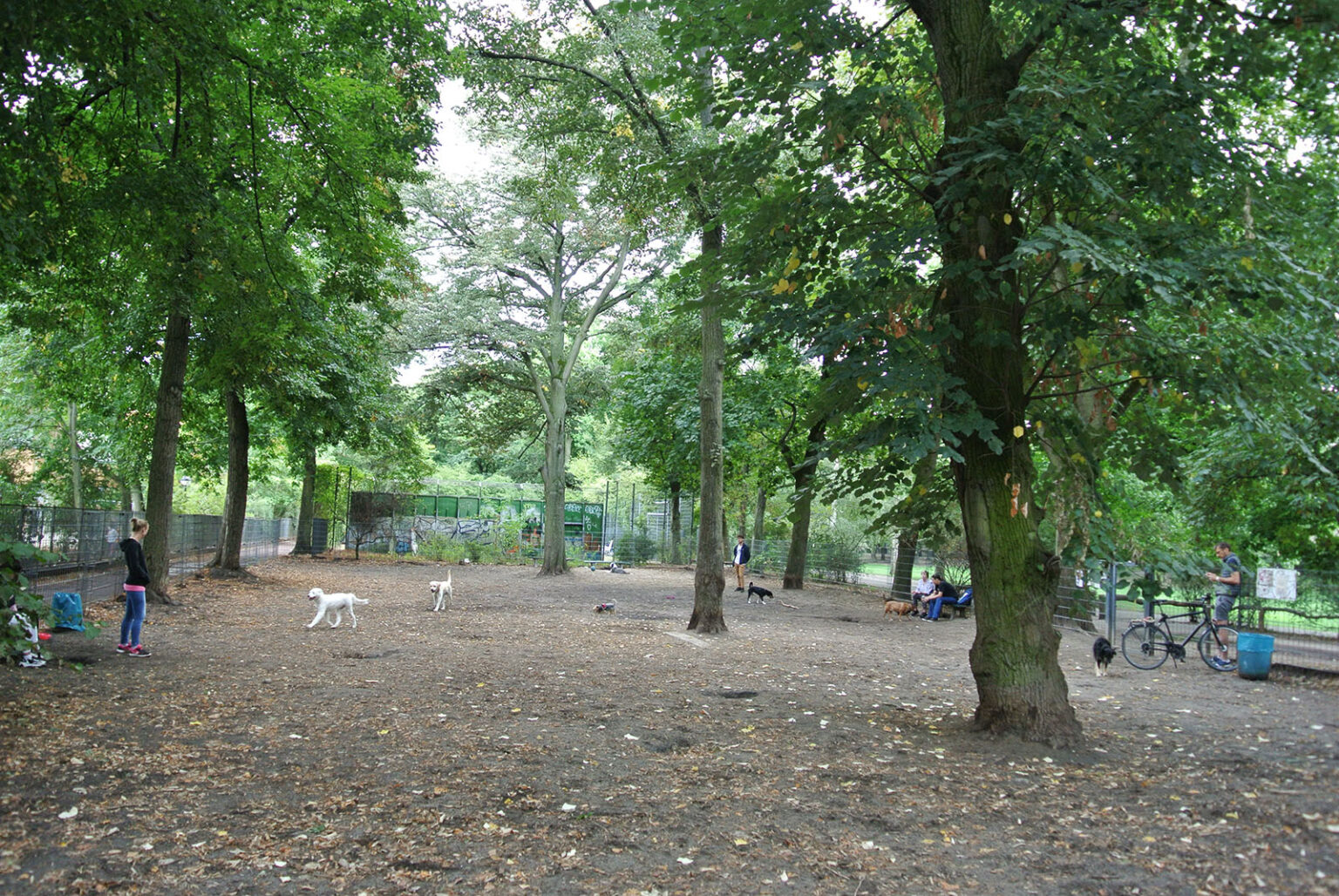 Hundeplatz Archive - Walk Your Dog