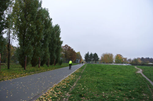 Hans-Baluschek-Park