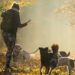 Hundetraining Berlin